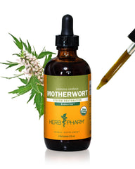 Herb Pharm Motherwort liquid extract bottle with dropper for easy daily use.