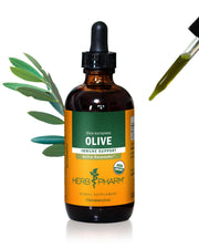 Herb Pharm olive leaf liquid extract bottle ready for potential daily immune support