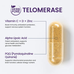 HERB PURE Astragalus root extract supporting nervous system health.