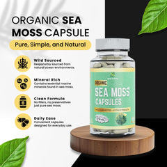 Herb To Body Sea Moss Capsules close-up highlights minerals like iodine.