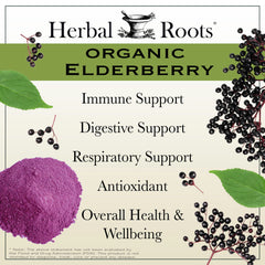 Herbal Roots Black Elderberry Capsules capsules in hand illustrate daily wellness use