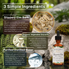 Herbal Wellness Hawaii dried slippery elm bark highlights a pure ingredient for herbal preparations.