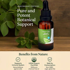 Herbal Wind Organic Oregano Oil dropper for precise dosing