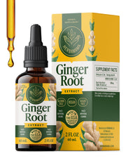 HERBAMAMA Ginger Drops bottle for daily digestive support.