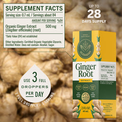 HERBAMAMA Ginger Drops being added to beverage for antioxidant support.