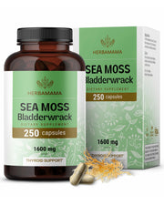 Herbamama Irish Sea Moss Capsules bottle front for daily immune support