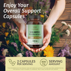 Herbamama sea moss capsules pouring into a glass for convenient daily use