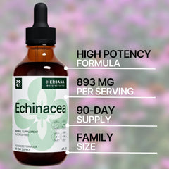 HERBANA Echinacea ingredients highlighted: organic plant parts and glycerin base.