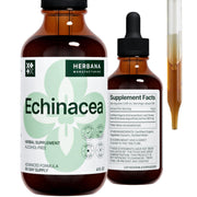 HERBANA Echinacea liquid extract bottle with dropper for easy daily dosing.