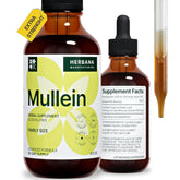 Herbana Mullein Leaf Liquid Extract bottle with dropper for respiratory support