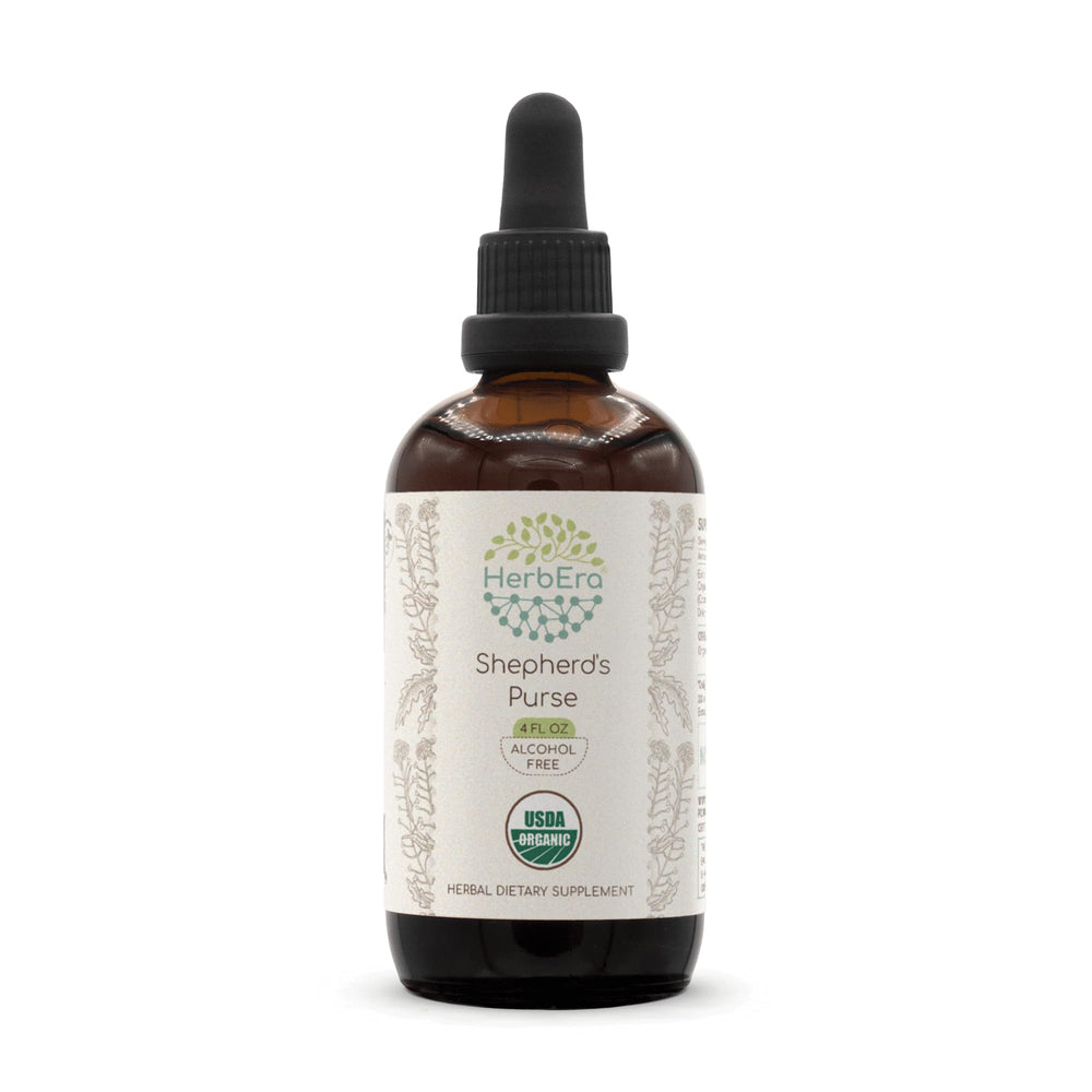HerbEra Shepherd's Purse tincture bottle with alcohol-free extract for easy daily use.