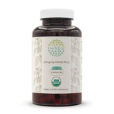 HerbEra stinging nettle root capsules bottle on table for a daily herbal routine.