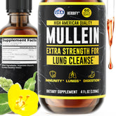 HERBIFY Mullein Drops bottle showing the premium tincture for respiratory support
