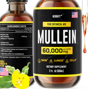 HERBIFY Mullein Extract bottle for easy daily breathing support.