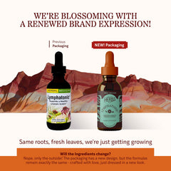 Herbs Etc. Lymphatonic dropper dispenses dosage for lymphatic support.