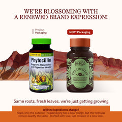 Herbs Etc. Phytocillin softgels label closeup highlights wellness ingredients