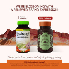 Herbs Etc. Respiratonic softgel packaging front highlights its short-term respiratory support use.