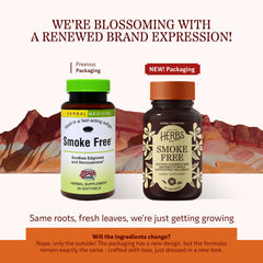 Herbs Etc. Smoke Free softgels capsules pour showing a quick dose during cravings.