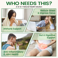 HIIHONE sea moss and elderberry bottle highlights antioxidant-rich combo.