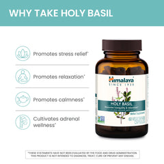 Himalaya Holy Basil ingredients label highlights extract-based potency.