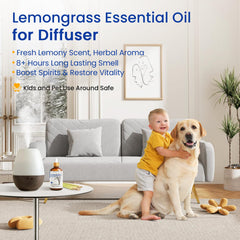 HIQILI lemongrass essential oil in diffuser setup for refreshing spaces.