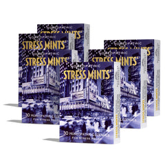Historical Remedies Stress Mints slipcase for on-the-go calm and digestion support.