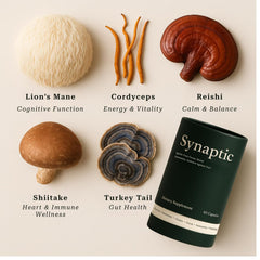 Holist Synaptic capsules closeup on label highlights vegan, non-GMO benefits.