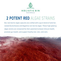 Holistic Bin wild-harvested Dumontiacea algae close-up highlighting potency