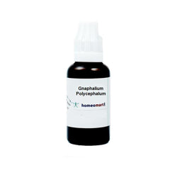 Homeomart Gnaphalium Polycephalum 30C bottle with dropper for convenient daily use