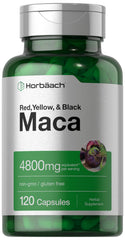 Horbäach Maca Root Capsules bottle for daily use with easy-to-swallow capsules.