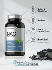 Horbäach NAC powder capsules pack demonstrates convenient daily serving.