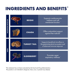 Host Defense Elderberry Plus Syrup mushroom blend visual for immune support.