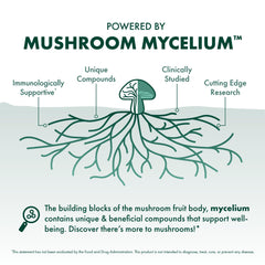 Mushroom mycelium substrate used to grow Maitake for extraction.