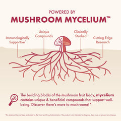 Ingredients blend of chaga, enoki, and reishi in MycoBenefits.