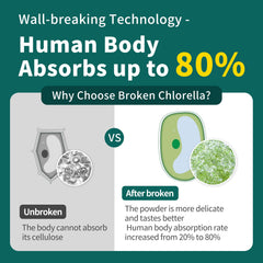 Hudetex chlorella powder jar interior reveals disrupted cell walls for quick absorption.