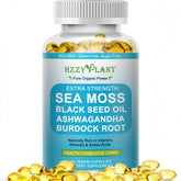 HZZYPLANT Sea Moss Softgels bottle offers convenient daily wellness support.