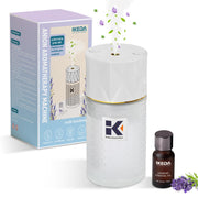 Ikeda Style-Life diffuser compact design for easy placement in car or living spaces.