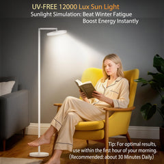 Incolumitas Floor Sun Lamp adjustable height enables precise desk placement.