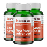 INFINITE AGE sea moss capsules 3-pack bottles for convenient daily supplementation.