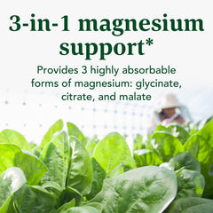 INNATE Magnesium three-forms graphic showing glycinate, citrate, and malate