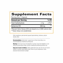 Berberine capsules close-up showing dairy-free and gluten-free formulation