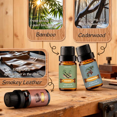 INWICOPH Forest Pine diffuser creates crisp room atmosphere.