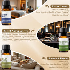 INWICOPH Lemon Thyme oil for fresh corridors and inviting spaces