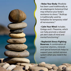 Irwin Naturals Stress-Defy label-closeup showcases comprehensive formula for resilience.