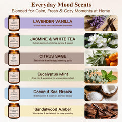 JGXLQ Eucalyptus Mint candle refreshes space with soothing notes