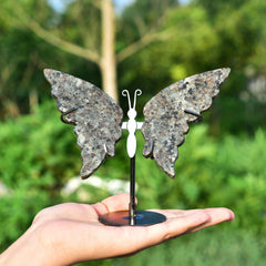 JIC Gem butterfly angel wings on a silver stand elevating home decor.