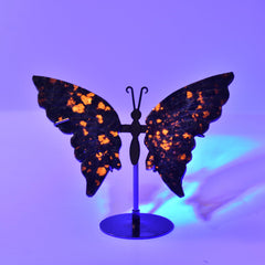 JIC Gem flame Yooperlite butterfly wings glow with fiery color in natural light.