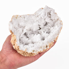 JIC Gem geode interior cavities reveal sparkling crystals for collectors
