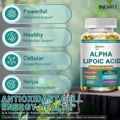 JINGYAT alpha-lipoic-acid-600mg-softgels-fast-absorption promotes efficient energy metabolism.