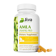 Jiva Botanicals Amla capsules bottle shows easy daily immune-support potential.